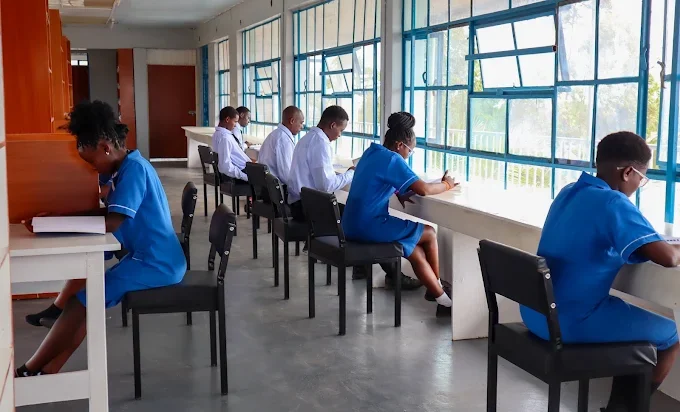 Nursing and clinical medicine students studying at window desks